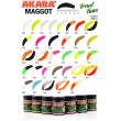 Силиконовая приманка Akara Trout Time MAGGOT 1,6 Tu-Frutti 454 (10 шт.)