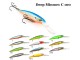 Воблер Raiden Deep Minnow C 100 15 гр. 17